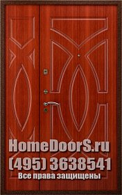 Двустворчатая металлическая дверь "Эдж ДВ" фото