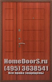 Двустворчатая металлическая дверь "Самет ДВ" фото