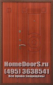 Двустворчатая металлическая дверь "Гера ДВ" фото