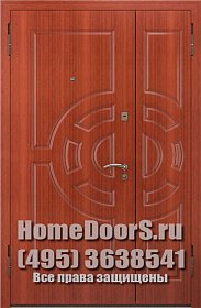 Двустворчатая металлическая дверь "Фиджи ДВ" фото